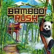 Bamboo RushBsg icon